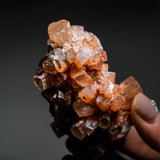 Aragonite Specimen - helmsman - crystal