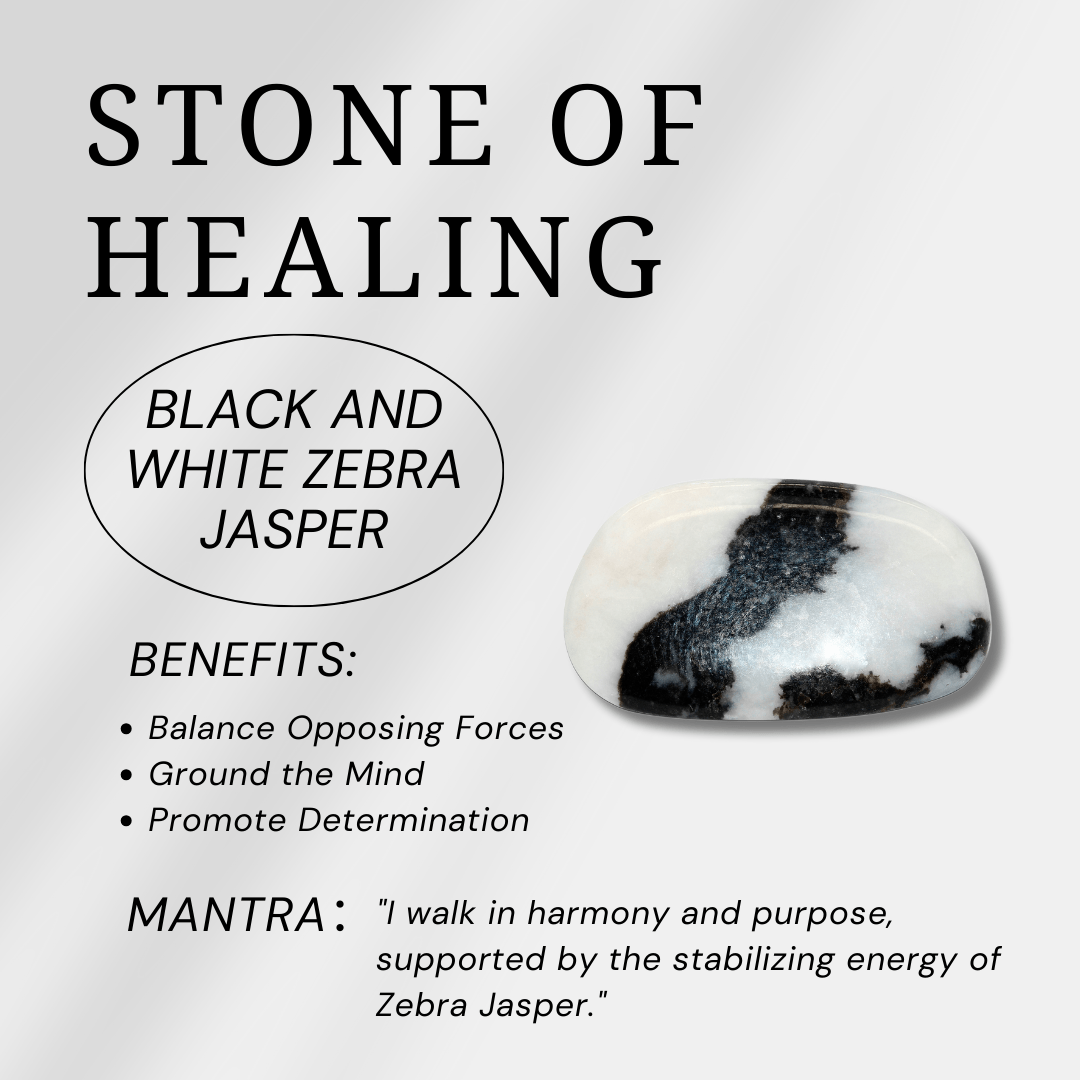 Black and White Zebra Jasper Tumbled Stone Set - helmsman - crystal