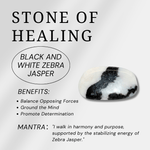 Black and White Zebra Jasper Tumbled Stone Set - helmsman - crystal