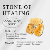 Coral Jade Fossil Palm Stone - helmsman - crystal