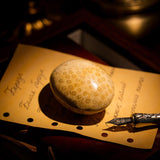 Coral Jade Fossil Palm Stone - helmsman - crystal