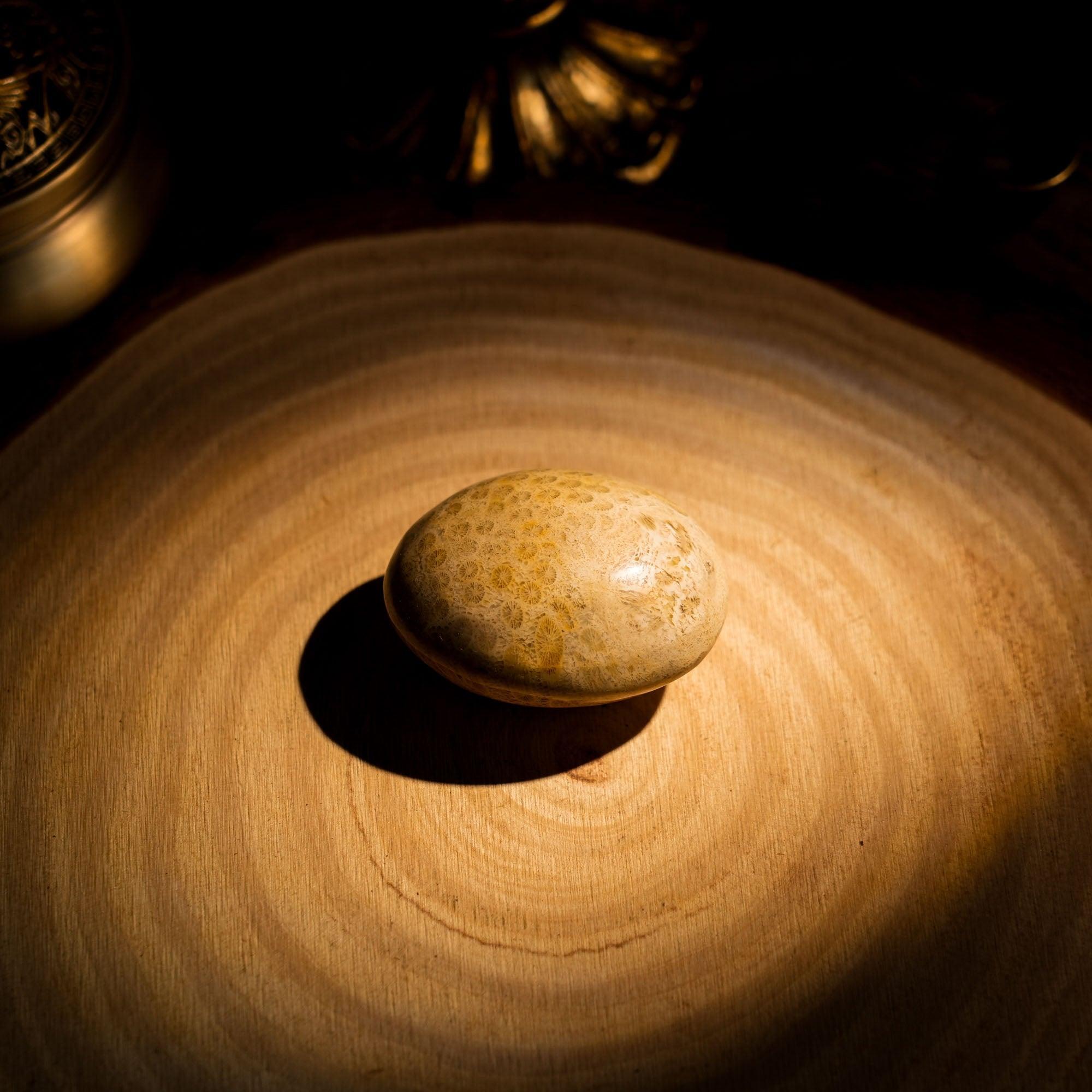 Coral Jade Fossil Palm Stone - helmsman - crystal