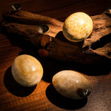 Coral Jade Fossil Palm Stone - helmsman - crystal