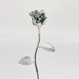Crystal Rose - helmsman - crystal