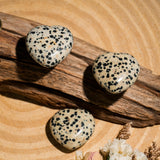 Dalmatian Jasper Mini Heart Set - helmsman - crystal