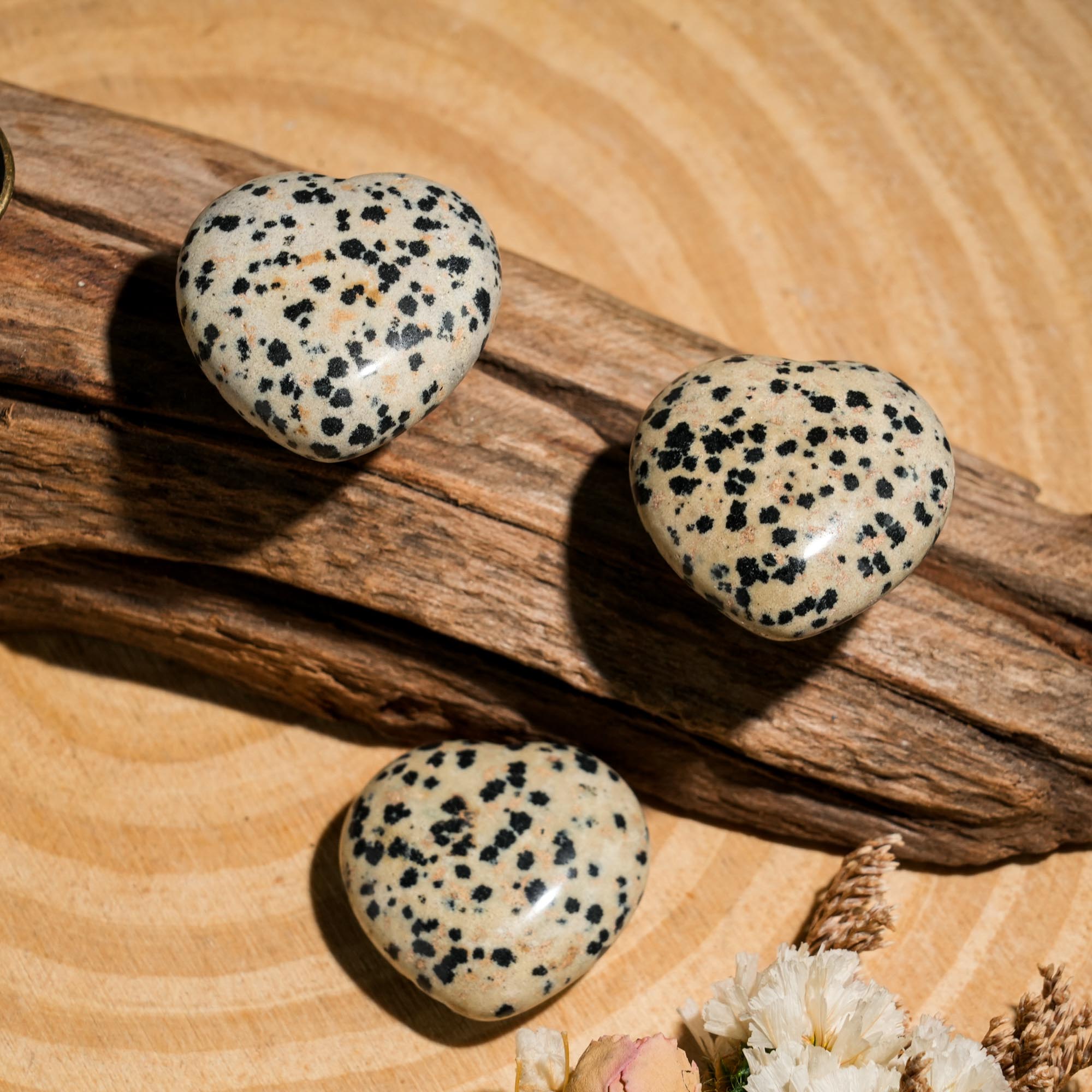 Dalmatian Jasper Mini Heart Set - helmsman - crystal