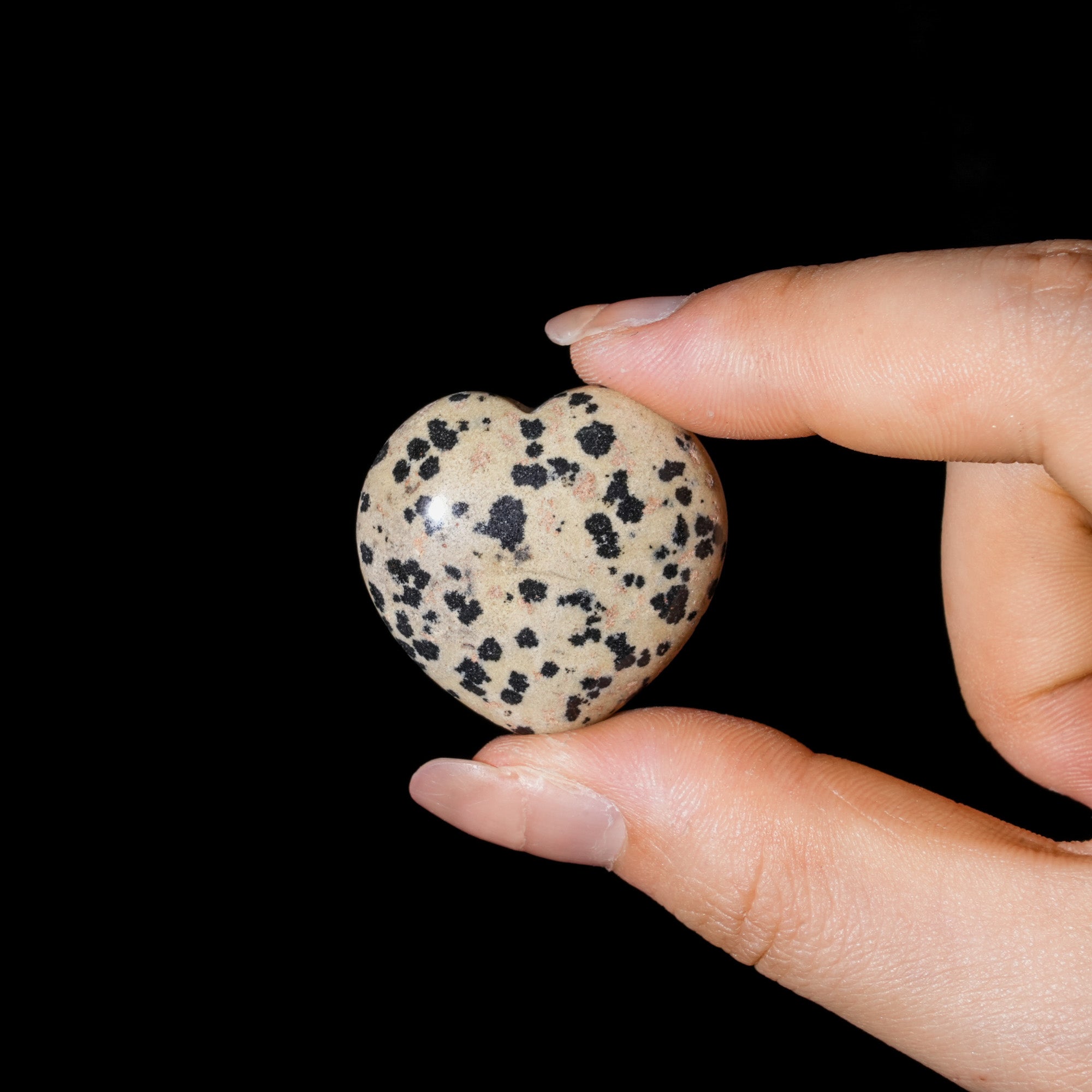 Dalmatian Jasper Mini Heart Set - helmsman - crystal