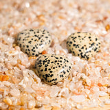 Dalmatian Jasper Mini Heart Set - helmsman - crystal