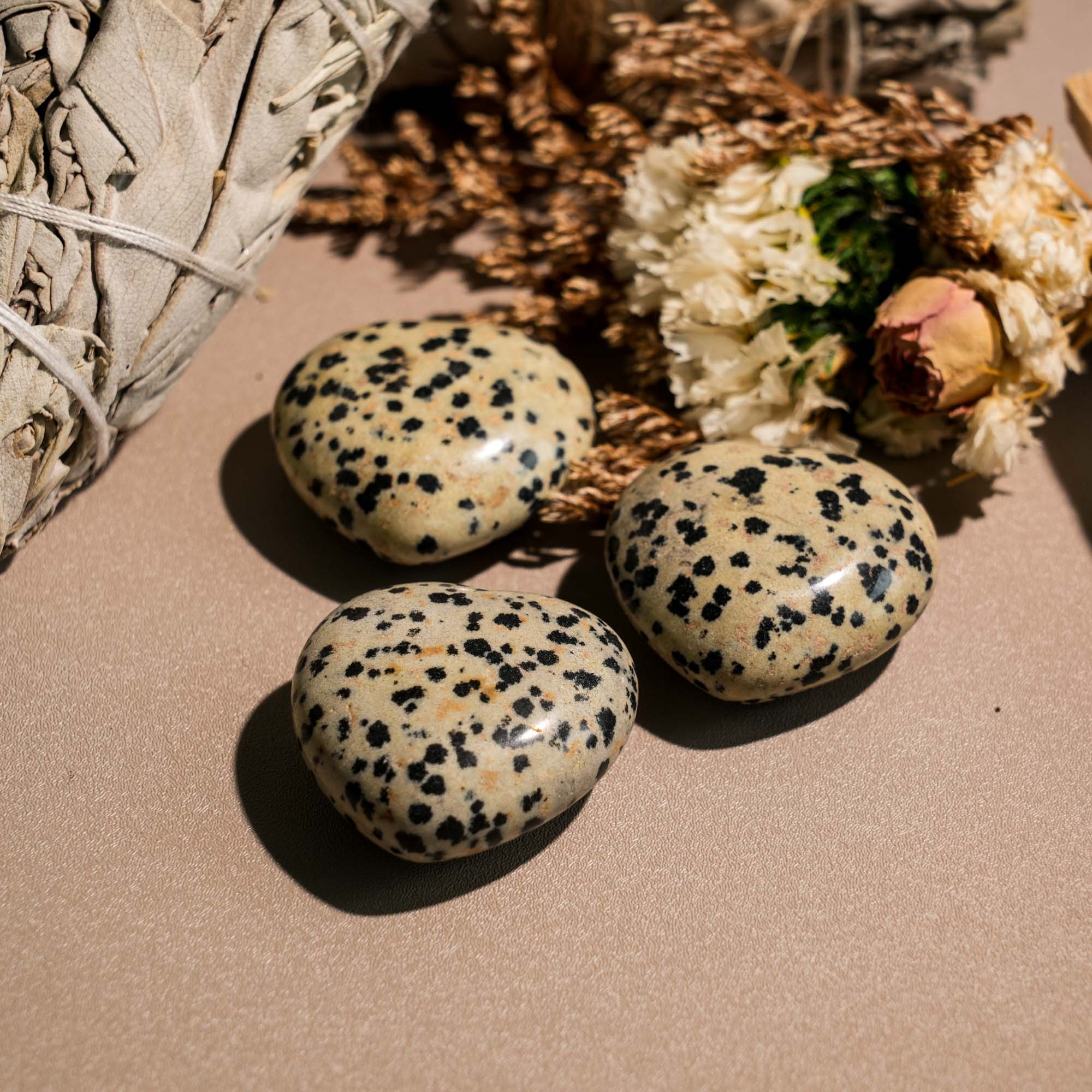 Dalmatian Jasper Mini Heart Set - helmsman - crystal