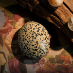 Dalmatian Jasper Palm Stone - helmsman - crystal