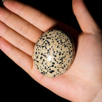 Dalmatian Jasper Palm Stone - helmsman - crystal
