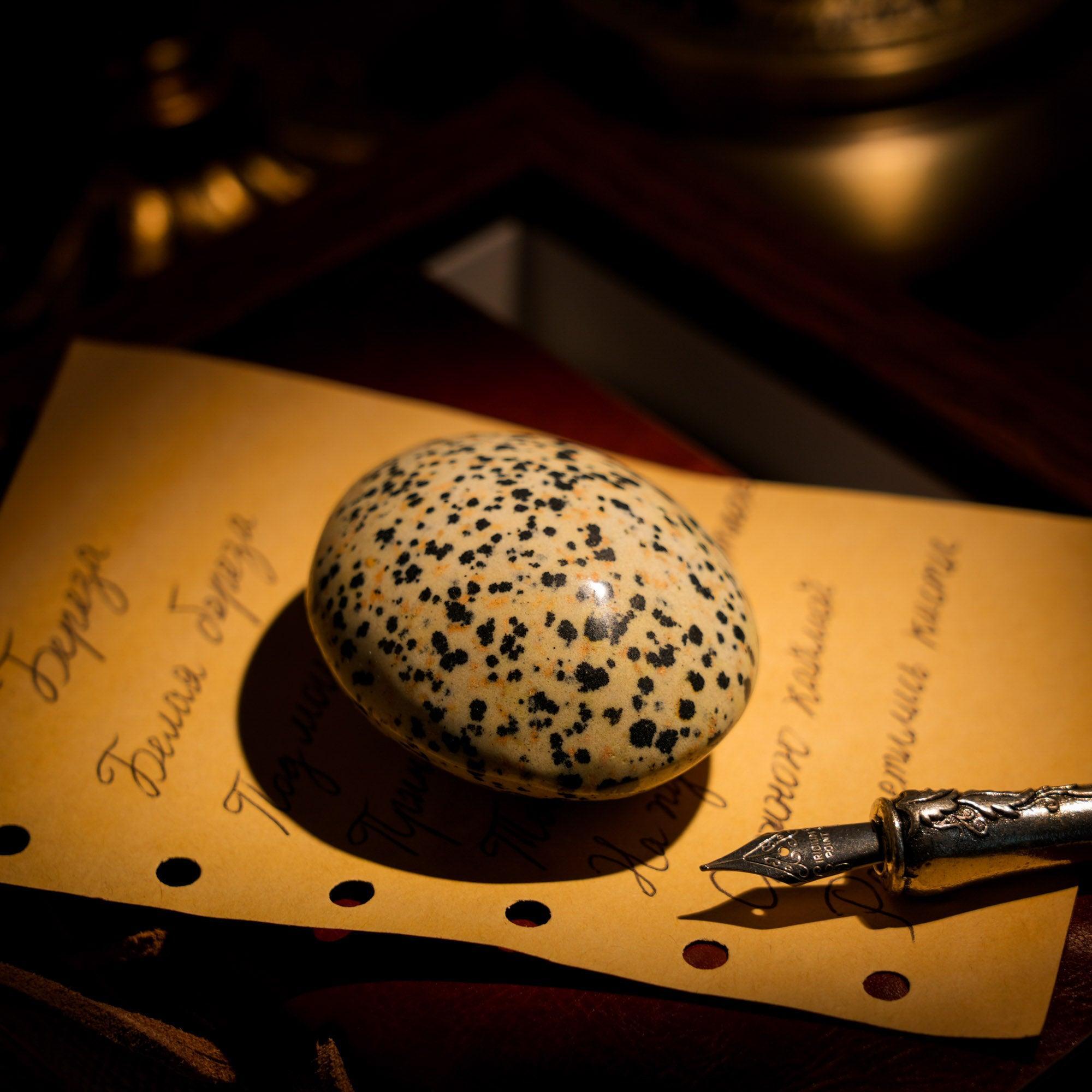 Dalmatian Jasper Palm Stone - helmsman - crystal