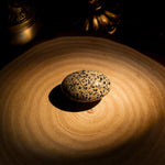 Dalmatian Jasper Palm Stone - helmsman - crystal