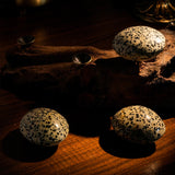 Dalmatian Jasper Palm Stone - helmsman - crystal