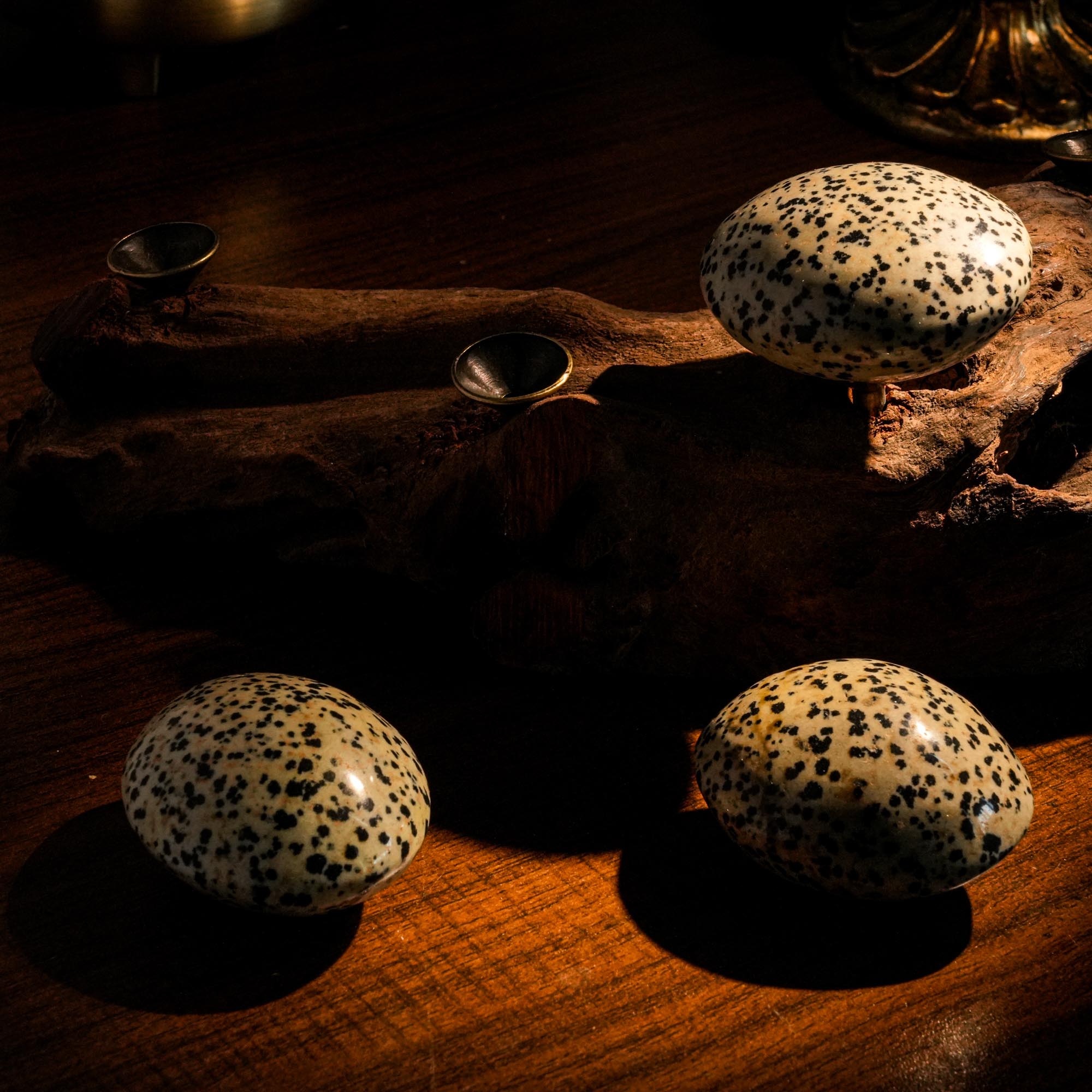 Dalmatian Jasper Palm Stone - helmsman - crystal