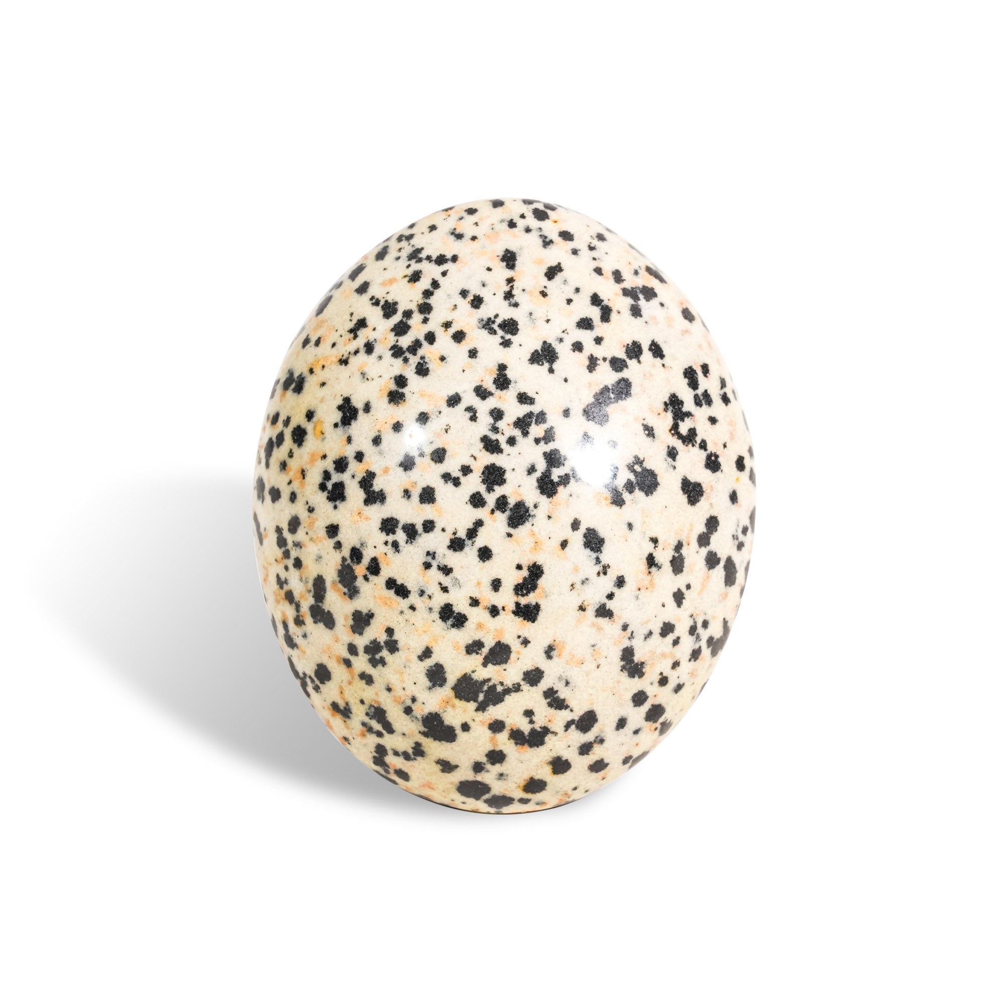 Dalmatian Jasper Palm Stone - helmsman - crystal