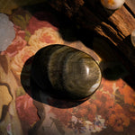 Gold Sheen Obsidian Palm Stone - helmsman - crystal
