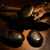 Gold Sheen Obsidian Palm Stone - helmsman - crystal