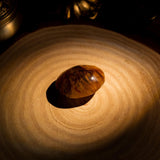 Golden Healer Quartz Palm Stone - helmsman - crystal