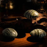 Green Zebra Jasper Palm Stone - helmsman - crystal