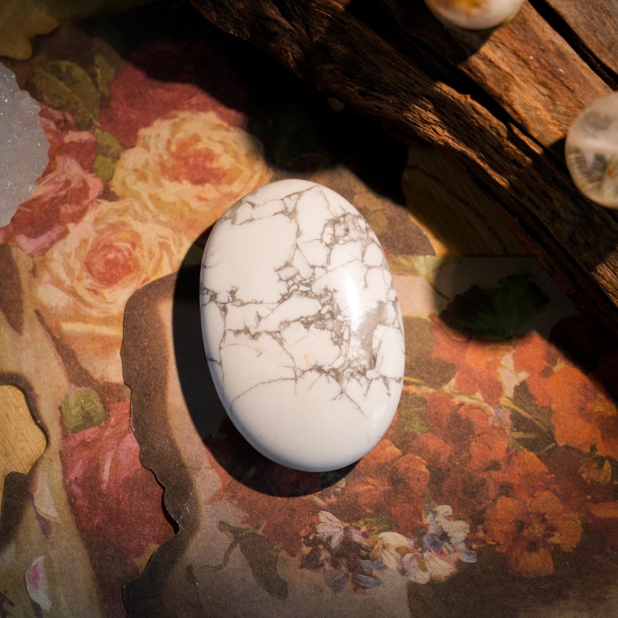 Howlite Palm Stone - helmsman - crystal