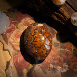 Indonesian Agate Palm Stone - helmsman - crystal