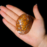 Indonesian Agate Palm Stone - helmsman - crystal