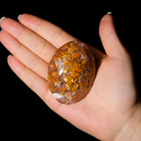 Indonesian Agate Palm Stone - helmsman - crystal