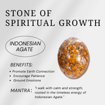 Indonesian Agate Palm Stone - helmsman - crystal