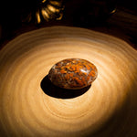 Indonesian Agate Palm Stone - helmsman - crystal