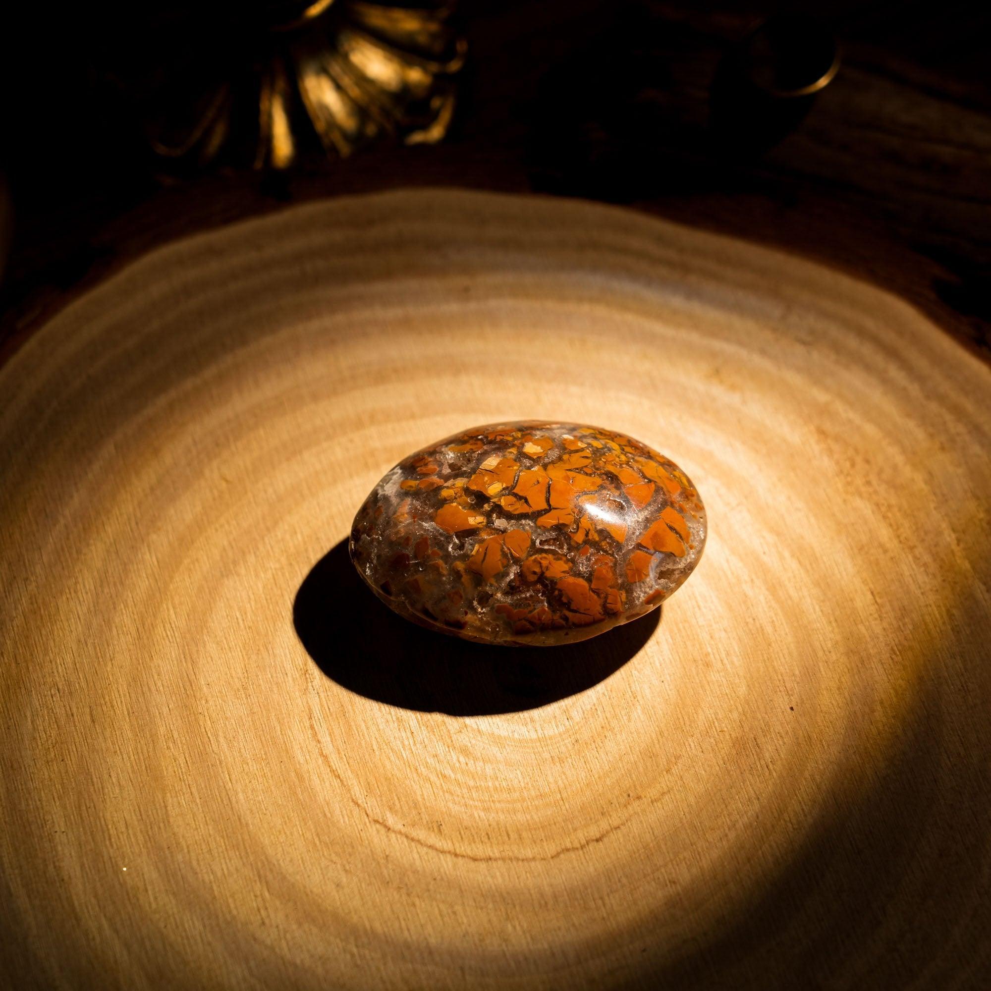 Indonesian Agate Palm Stone - helmsman - crystal