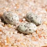 Kiwi Jasper Tumbled Stone Set - helmsman - crystal