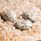 Kiwi Jasper Tumbled Stone Set - helmsman - crystal