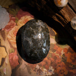 Marcasite Agate Palm Stone - helmsman - crystal