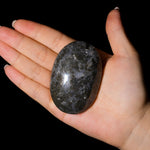 Marcasite Agate Palm Stone - helmsman - crystal