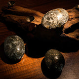 Marcasite Agate Palm Stone - helmsman - crystal