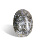 Marcasite Agate Palm Stone - helmsman - crystal