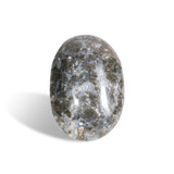 Marcasite Agate Palm Stone - helmsman - crystal