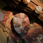 Mexico Agate Palm Stone - helmsman - crystal