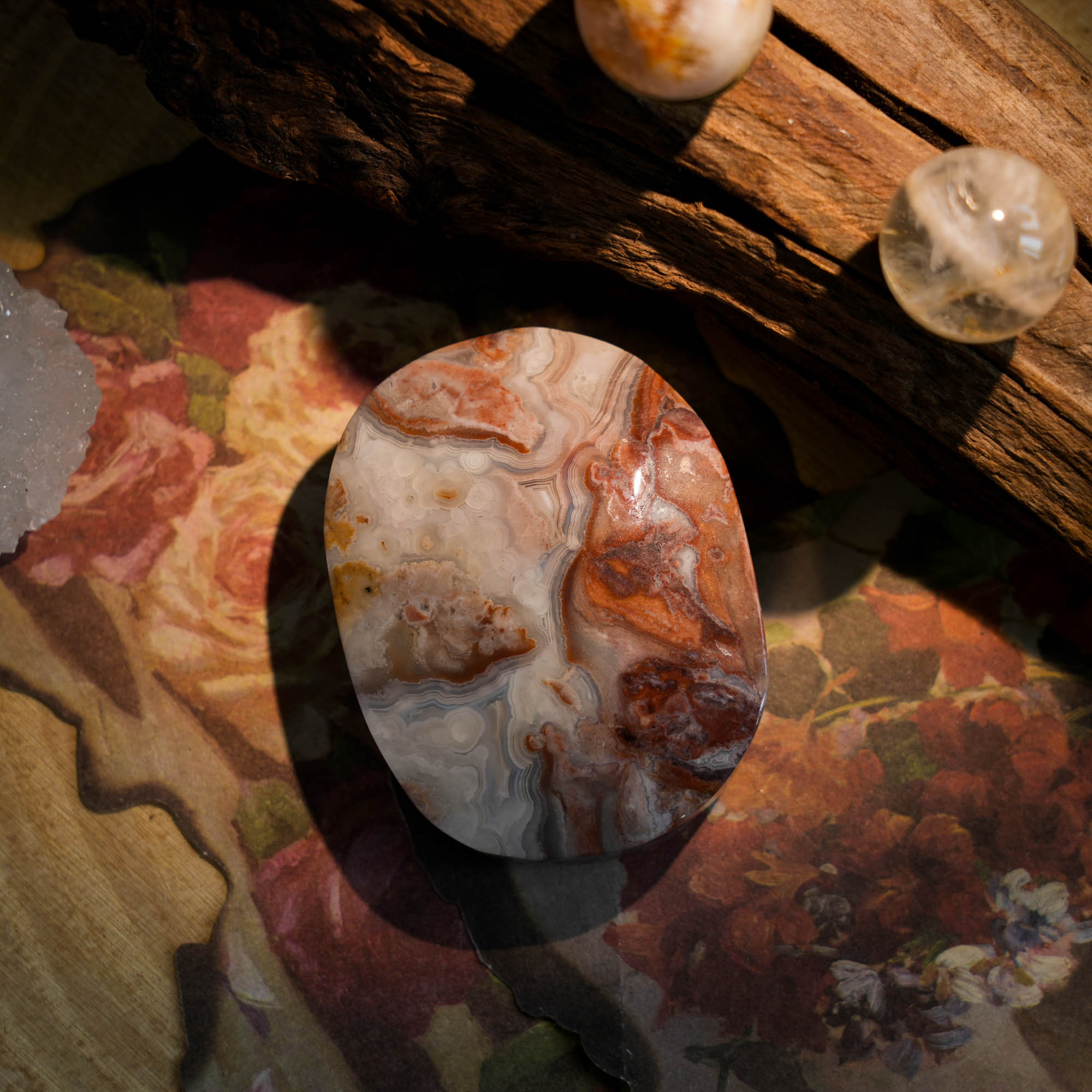 Mexico Agate Palm Stone - helmsman - crystal