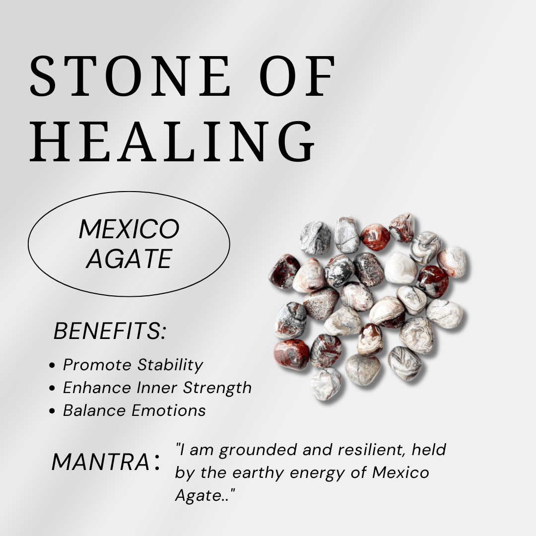 Mexico Agate Palm Stone - helmsman - crystal