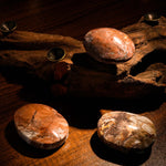 Mexico Agate Palm Stone - helmsman - crystal