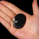 Peony Stone Palm Stone - helmsman - crystal