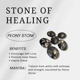 Peony Stone Palm Stone - helmsman - crystal