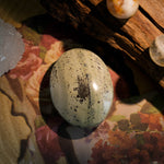 Petrified Jade Palm Stone - helmsman - crystal