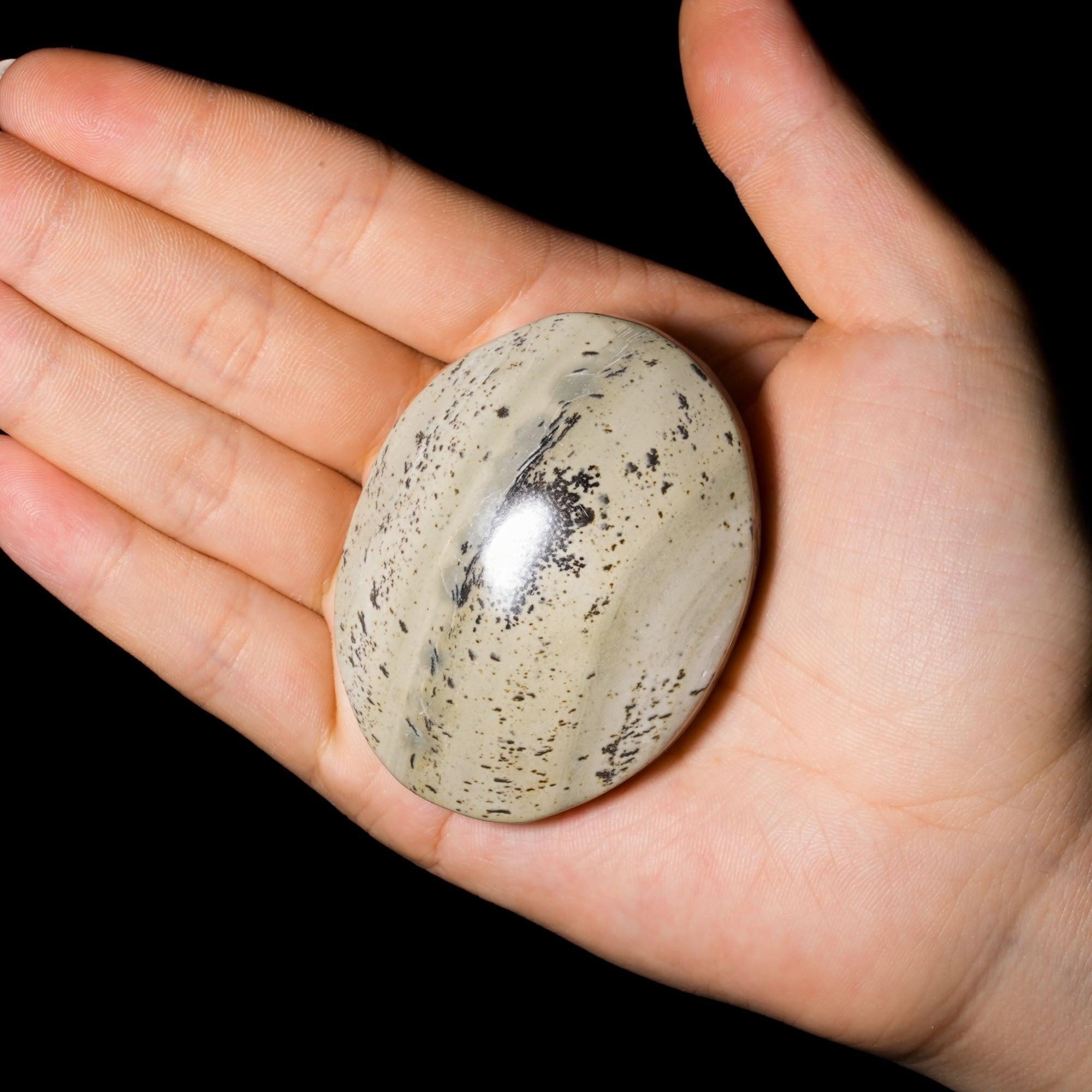 Petrified Jade Palm Stone - helmsman - crystal