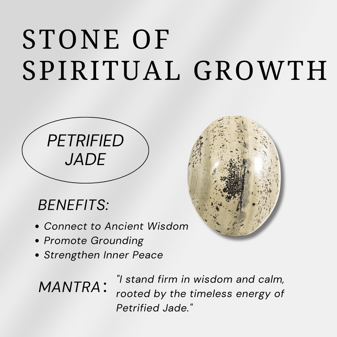 Petrified Jade Palm Stone - helmsman - crystal