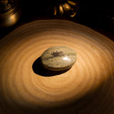 Petrified Jade Palm Stone - helmsman - crystal