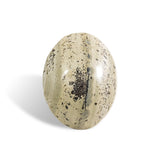 Petrified Jade Palm Stone - helmsman - crystal