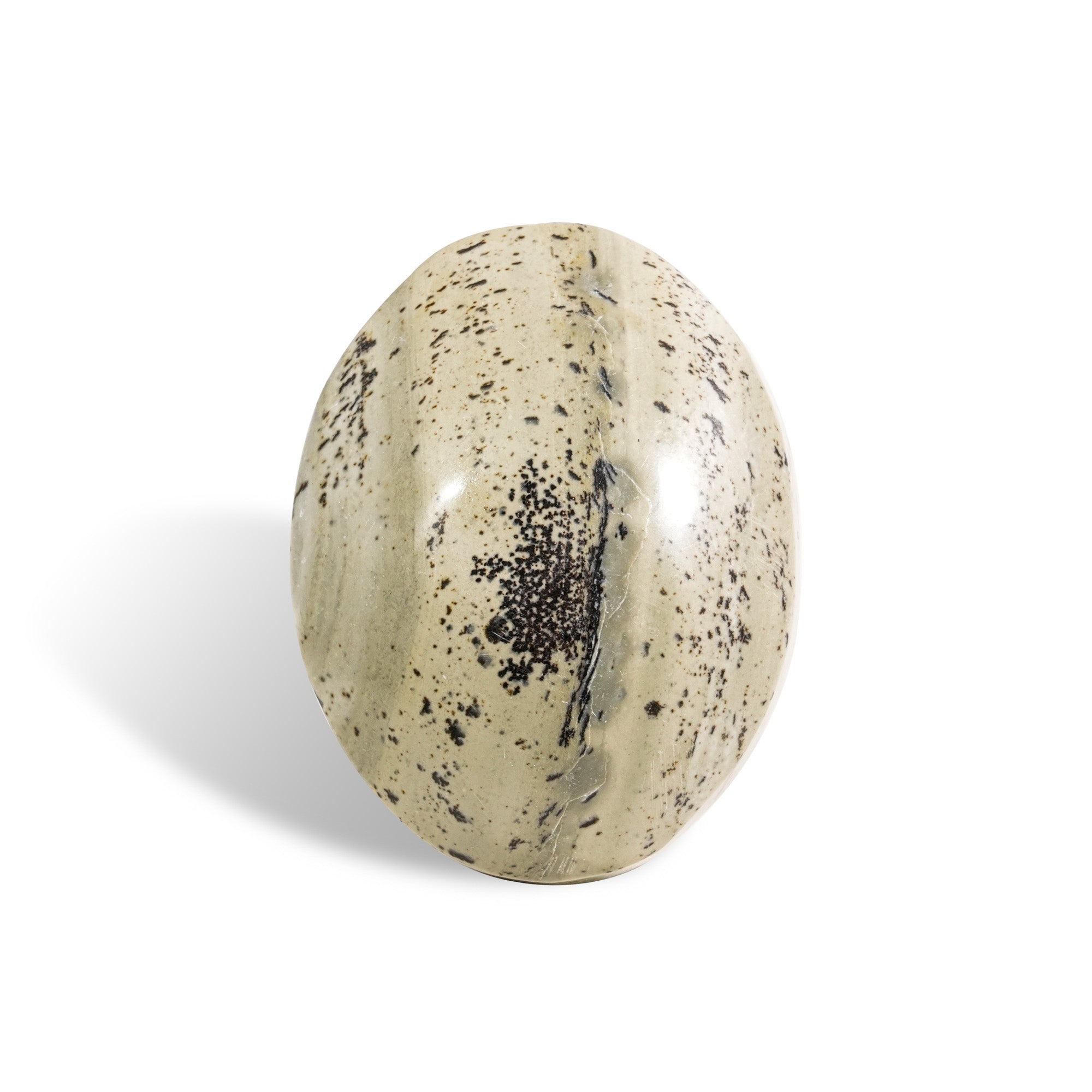 Petrified Jade Palm Stone - helmsman - crystal